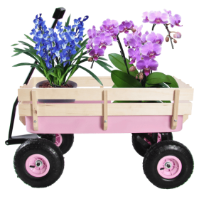 Outdoor Wagon Garden Cart