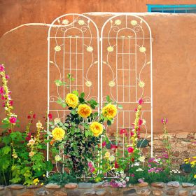2 Pack Metal Rustproof Garden Trellis