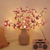 20 LED String Light Butterfly Orchid Branch Garland